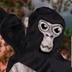 Gorilla Tag